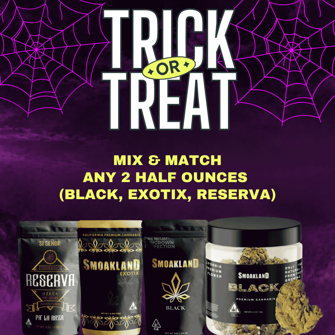 🔥 Trick or Treat 🔥