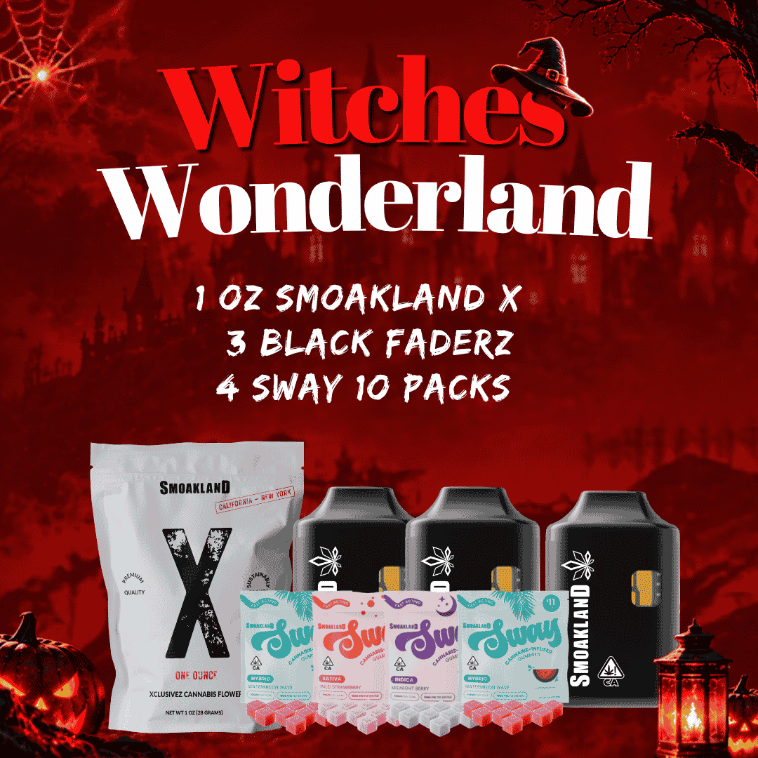 Witches Wonderland